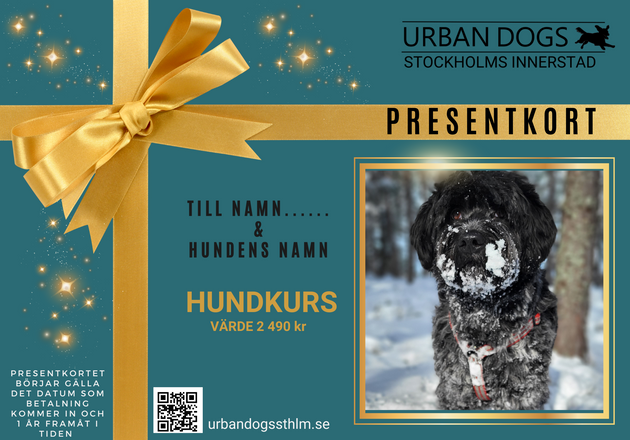 Presentkort Hundkurs Urban Dogs