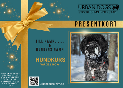 Presentkort Hundkurs Urban Dogs