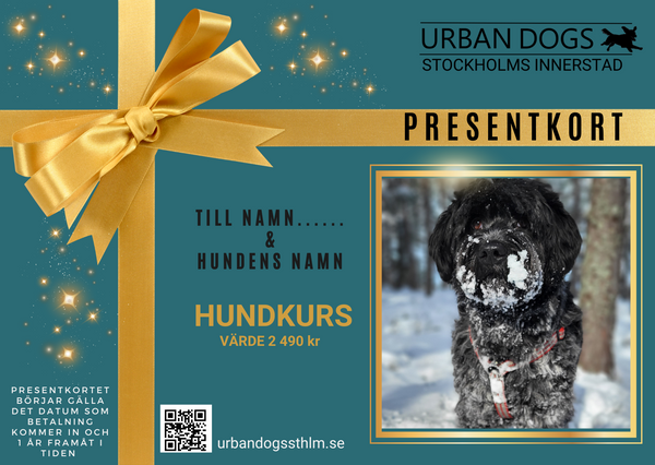 Presentkort Hundkurs Urban dogs